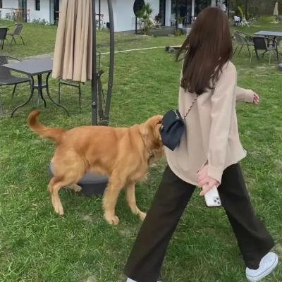 罪恶黑名单第十季